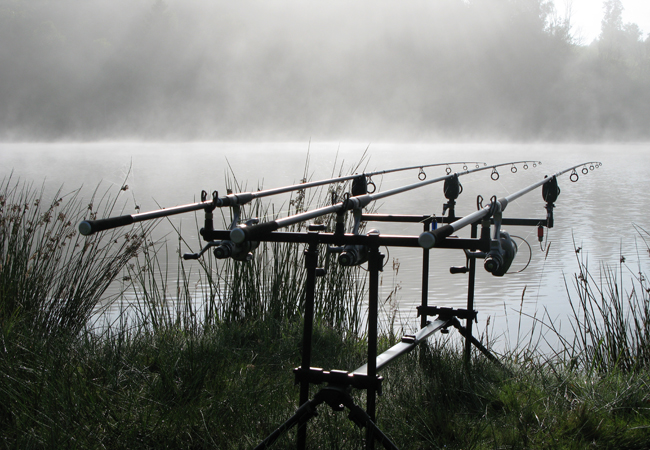 3 quality carp rods