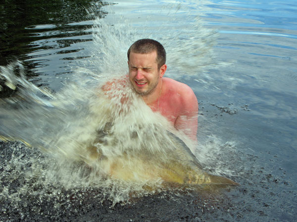 in the water wrestling with enormous carp